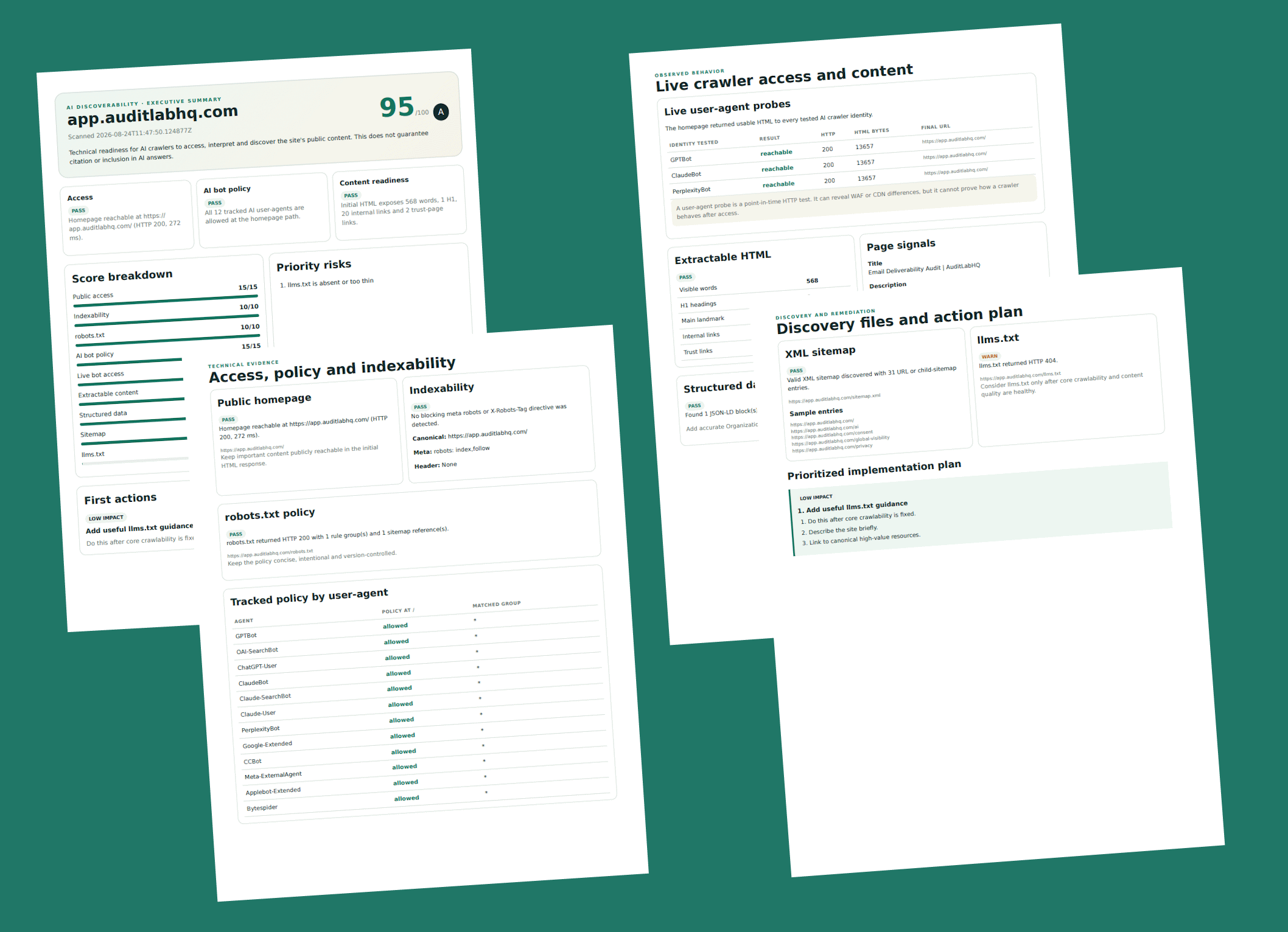 Preview of the full paid AI audit report