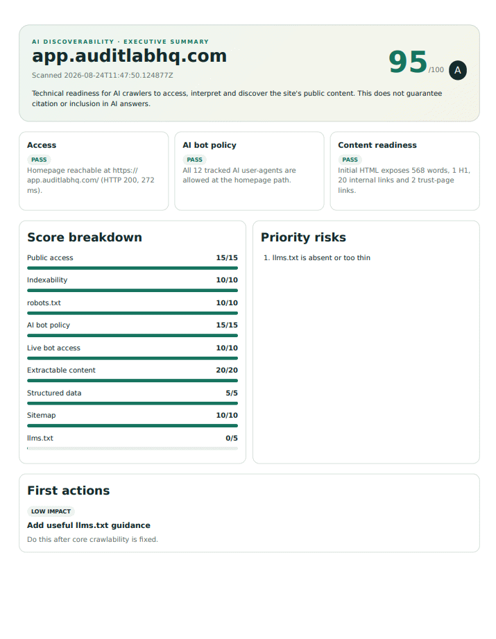 Preview of the light paid AI audit report